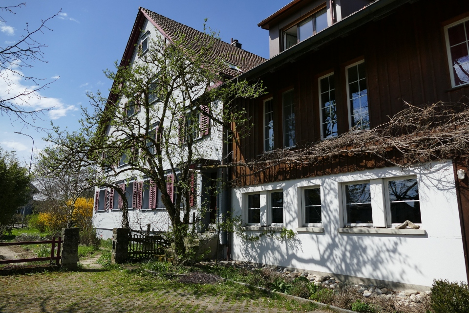 Das Bild zeigt ein Haus mit einem Garten.