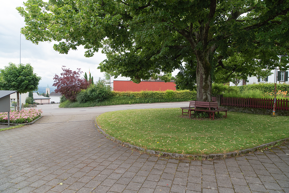 Das Bild zeigt einen Lindenbaum mit einer roten Sitzbank rund um den Baumstamm.