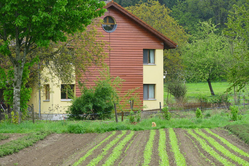Das Bild zeigt ein hellgelbes Haus. Ein Teil der Fassade ist aus Holztäfer. Das Haus befindet sich mitten in der Landwirtschaftszone.