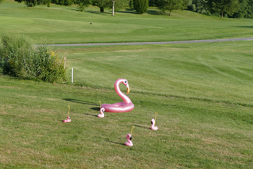 Das Bild zeigt einen grossen und vier kleine aufblasbare Deko-Flamingos auf einer Wiese.