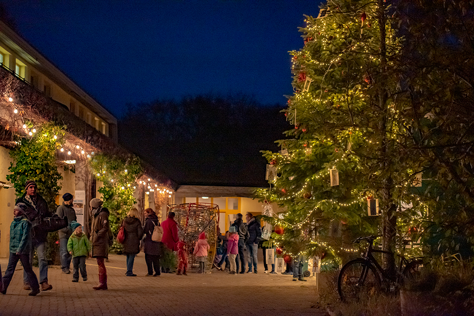 Das Bild zeigt mehrere Menschen auf einem Platz. Auf dem Platz steht ein grosser beleuchteter Weihnachtsbaum.