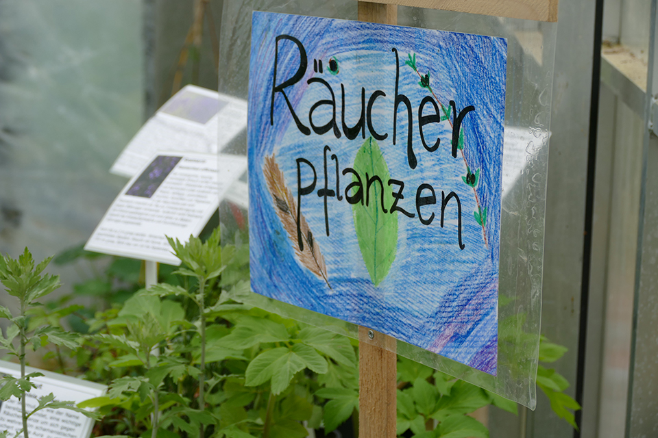 Das Bild zeigt ein bunt bemaltes Schild mit der Aufschrift, Räucherpflanzen.