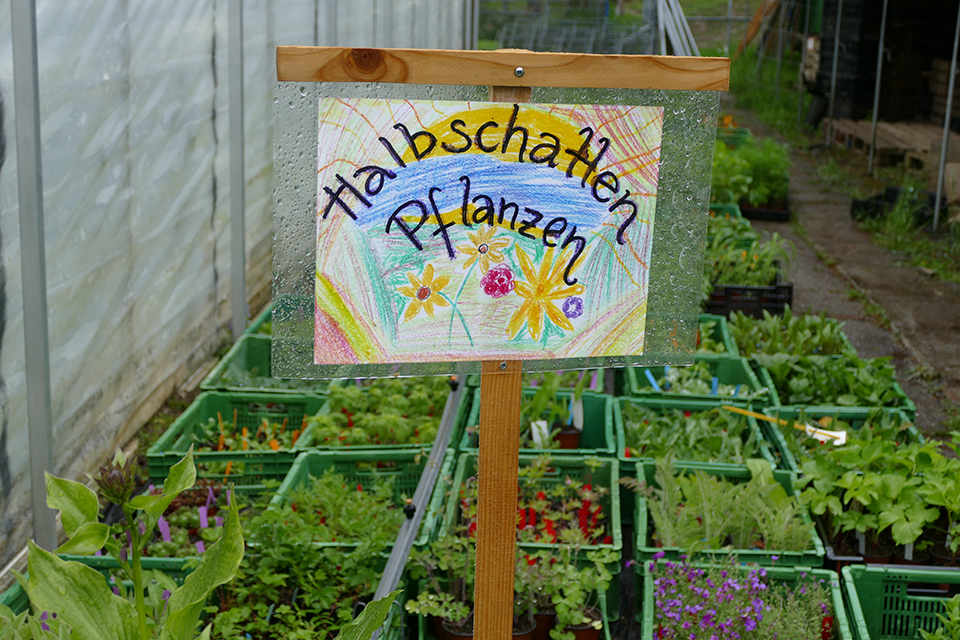 Das Bild zeigt ein bunt bemaltes Schild mit der Aufschrift, Halbschattenpflanzen.