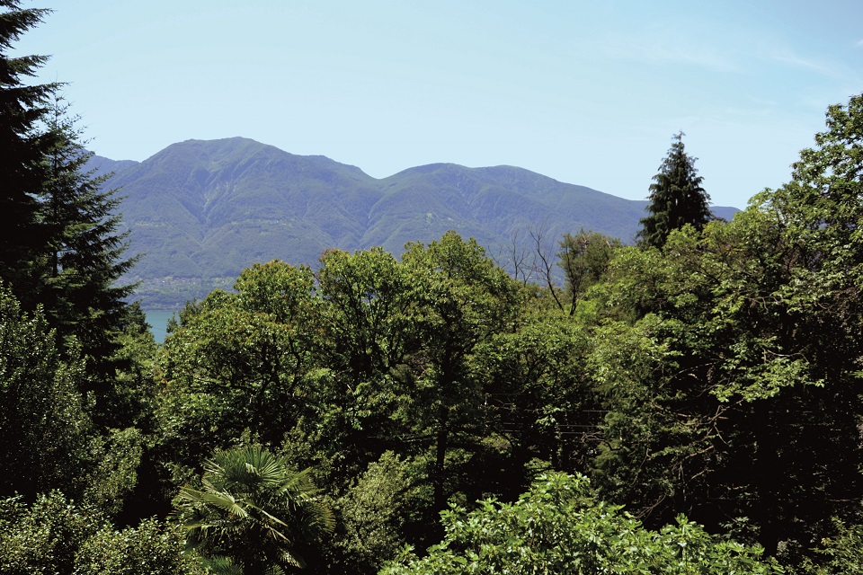 Das Bild zeigt die Sicht über einen Wald, See bis zu einer Hügelfront.