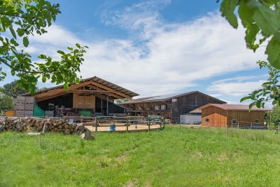 Abgebildet ist ein Hof mit mehreren Gebäuden und einem Paddock, im Vordergrund ist eine Wiese und ein Holzstapel.
