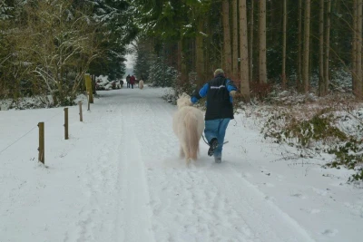 Eine Person rennt mit einem weissen Pony über einen schneebedeckten Weg durch einen Wald, man sieht die beiden von hinten.