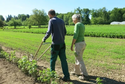 Eine Person läuft mit einem Gartengerät, das Furchen macht, über ein Feld, neben ihr läuft eine weitere Person.