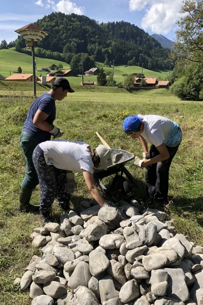 Man sieht drei Jungedliche neben einer Schubkarre auf einer Wiese, die eine Ansammlung an Steinen in die Schubkarre heben.