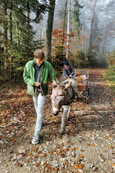 Ein Mann führt einen Esel, der eine Kutsche zieht, auf der eine Person sitzt, durch einen herbstlichen Wald.