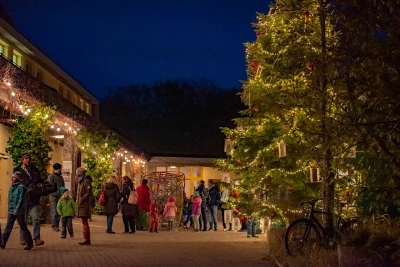 Blick auf den Adventsmarkt bei Nacht. Rechts steht eine grosse geschmückte Tanne, links davon stehen Besucher und Besucherinnen.