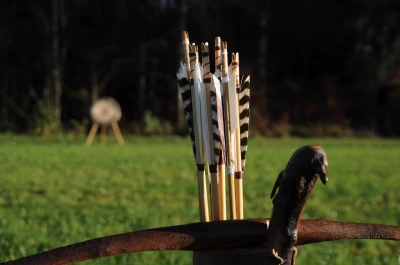 Im Vordergrund sieht man die Enden einiger Pfeile die aus einem Köcher ragen, im Hintergrund erkennt man die Zielscheibe auf einer Wiese.